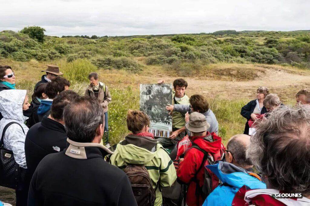 Gestions des pelouses à Tortula dans la réserve biologique de Merlimont