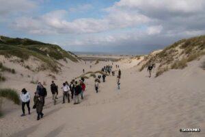 Exploration des Dunes du Nord Pas-de-Calais : Formation, Impact Anthropique et Biodiversité Végétale