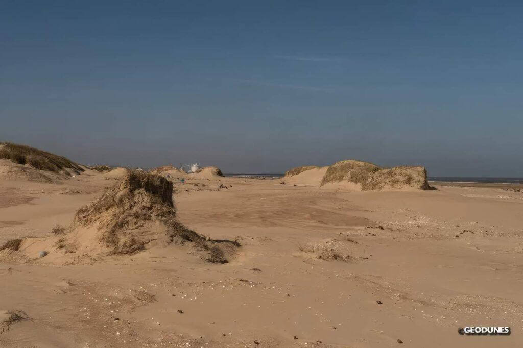Dunes isolées qui ont tendance à se rejoindre pour former à terme un nouveau cordon dunaire