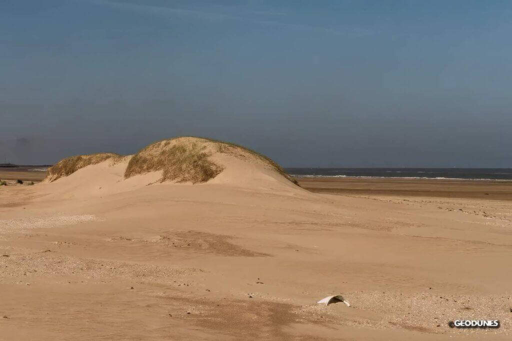 Dunes isolées qui ont tendance à se rejoindre pour former à terme un nouveau cordon dunaire