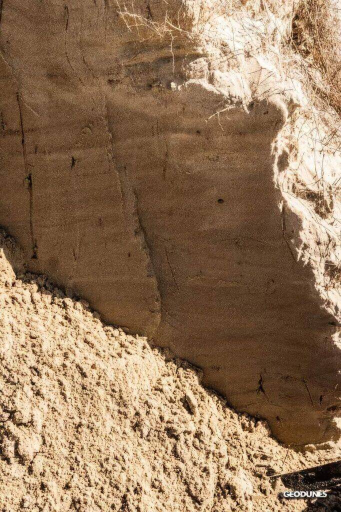 Mise en évidence de différents lits sableux à l’intérieur d’une dune isolée