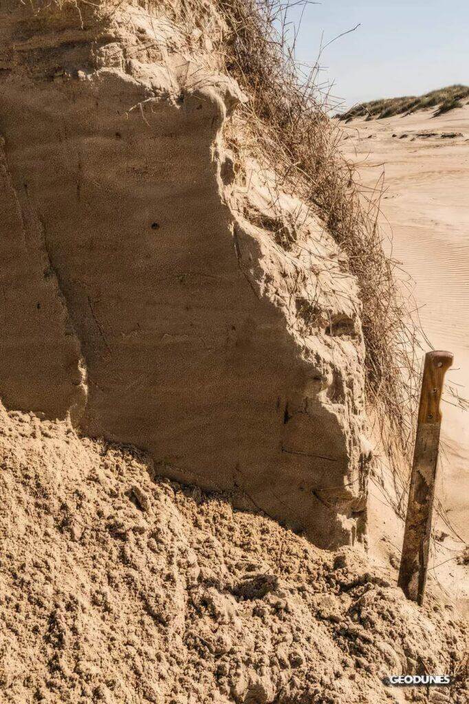 Mise en évidence de différents lits sableux à l’intérieur d’une dune isolée