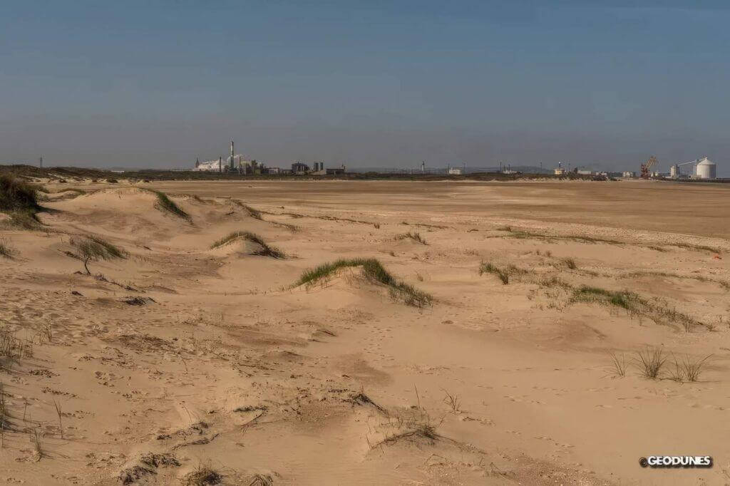 Suivi topographique du trait de côte et de la morphologie dunaire au Fort Vert, Calais (62)