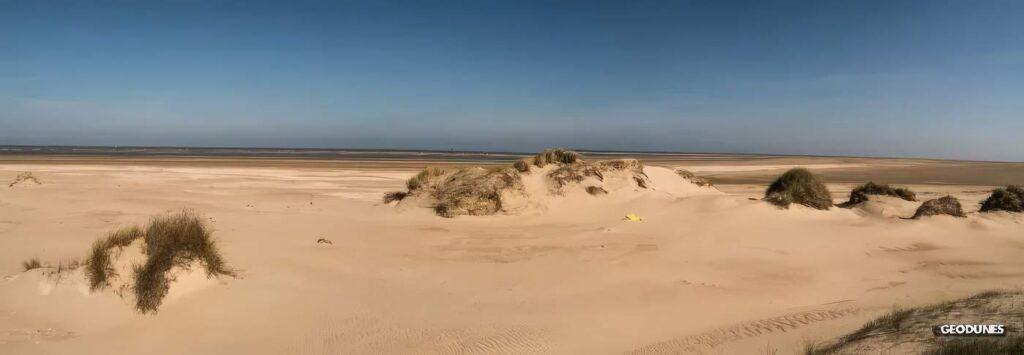 Dunes isolées ayant subi de l’érosion suite aux fortes énergies de l’hiver 2013-2014