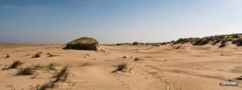 Dunes isolées ayant subi de l’érosion suite aux fortes énergies de l’hiver 2013-2014