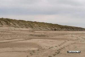 Les dunes est, Oye plage (62)