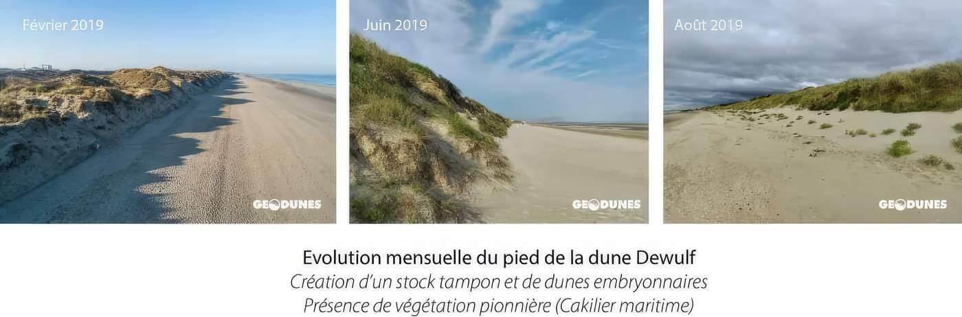 Evolution-zuydcoote-dune-dewulf-2019b