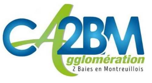 CA2BM logo reference