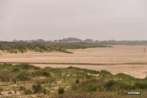 Le cordon dunaire situé au fond n’existait pas il y a 10 ans témoignant de l’incroyable rapidité de progradation du secteur