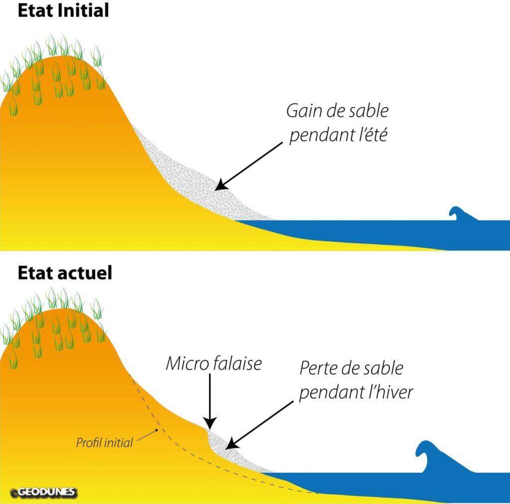 Evolution saisonnière d’un profil de plage (Géodunes)