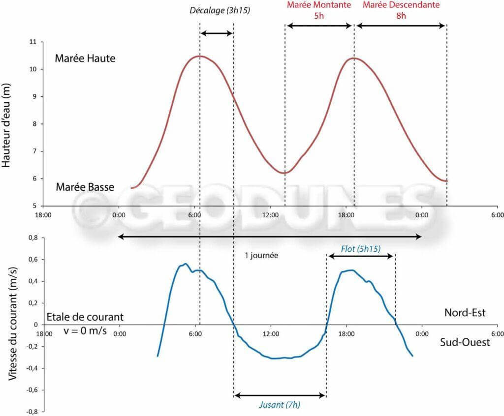 Figure 1: Les courants de marée en mer du Nord