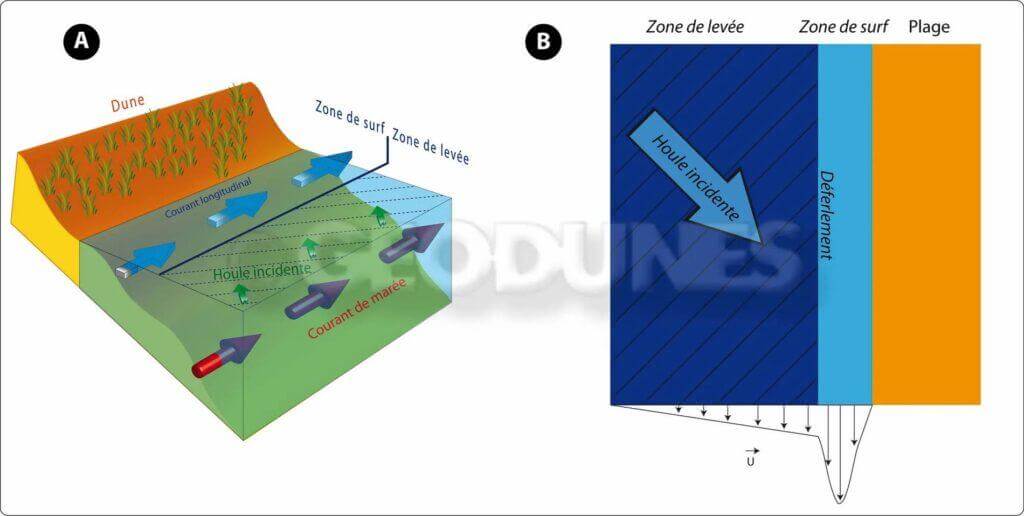 Figure 3: Formation du courant longitudinal lié au déferlement des vagues