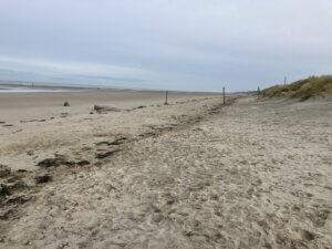 CoastSnap 59 : Bilan de l'évolution de la dune du perroquet sur l'année 2025 7 Geodunes perr 2025 20260707