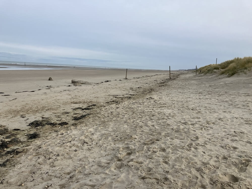 Geodunes perr 2025 20260707