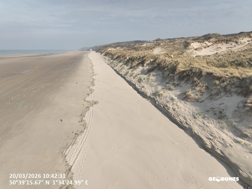 Mission : Suivi printannier 2026 des plages du PMCO 39 Geodunes Dunes dEcault 20260320 62