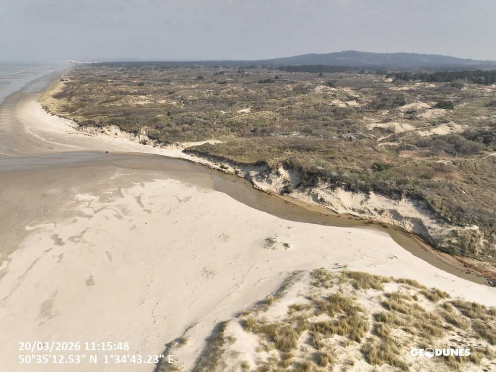 Mission : Suivi printannier 2026 des plages du PMCO 45 Geodunes Hardelot 20260320 136
