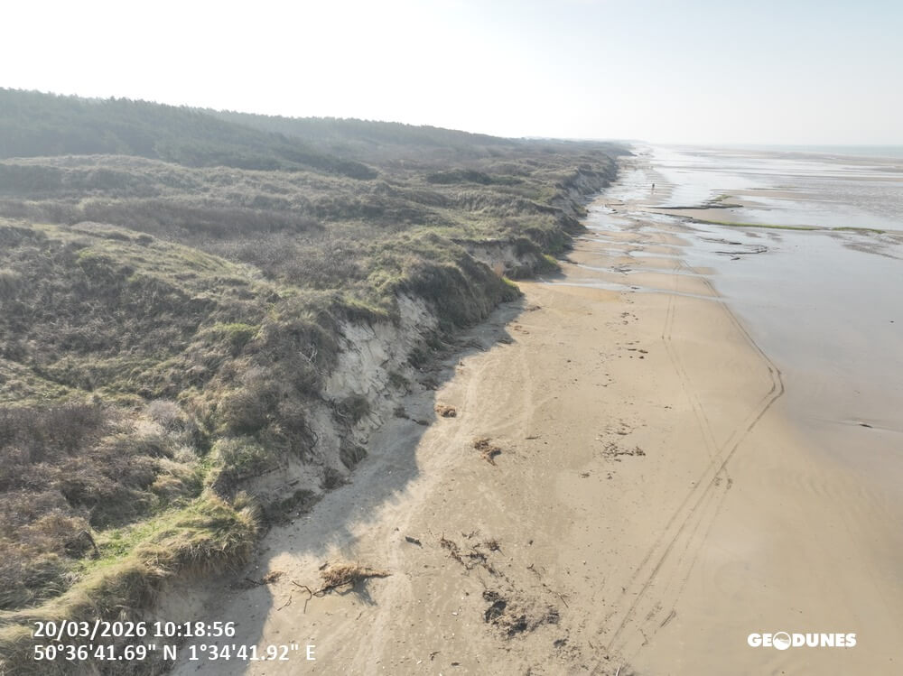 Mission : Suivi printannier 2026 des plages du PMCO 43 Geodunes Hardelot 20260320 77