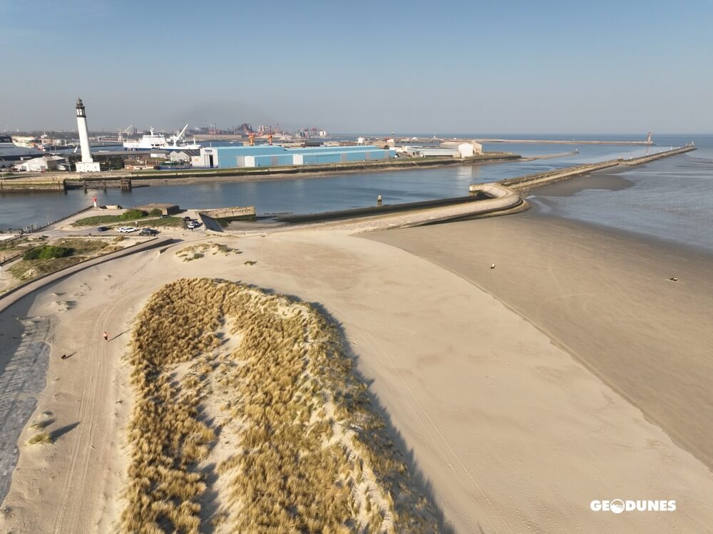 Mission : Suivi printannier 2026 des plages du PMCO 18 Geodunes Malo les Bains 20260319 62