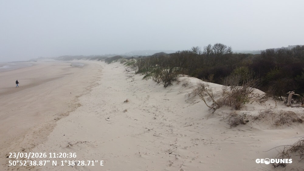 Mission : Suivi printannier 2026 des plages du PMCO 30 Geodunes Wissant 20260323 113