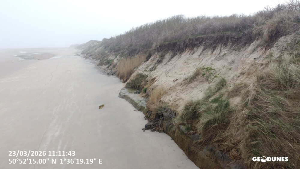 Mission : Suivi printannier 2026 des plages du PMCO 25 Geodunes Wissant 20260323 14