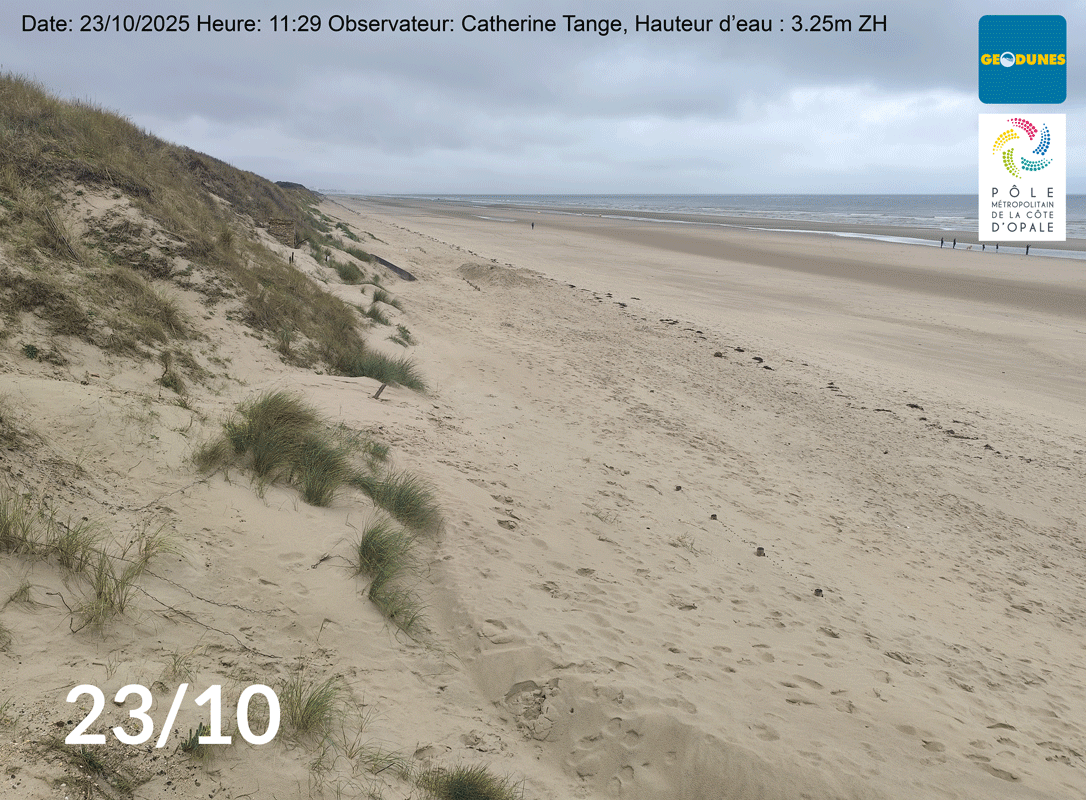 CoastSnap 59 : Tempête Benjamin : deux approches de gestion douce, un même constat d’efficacité 1 zuydcoote ganivelle coastsnap
