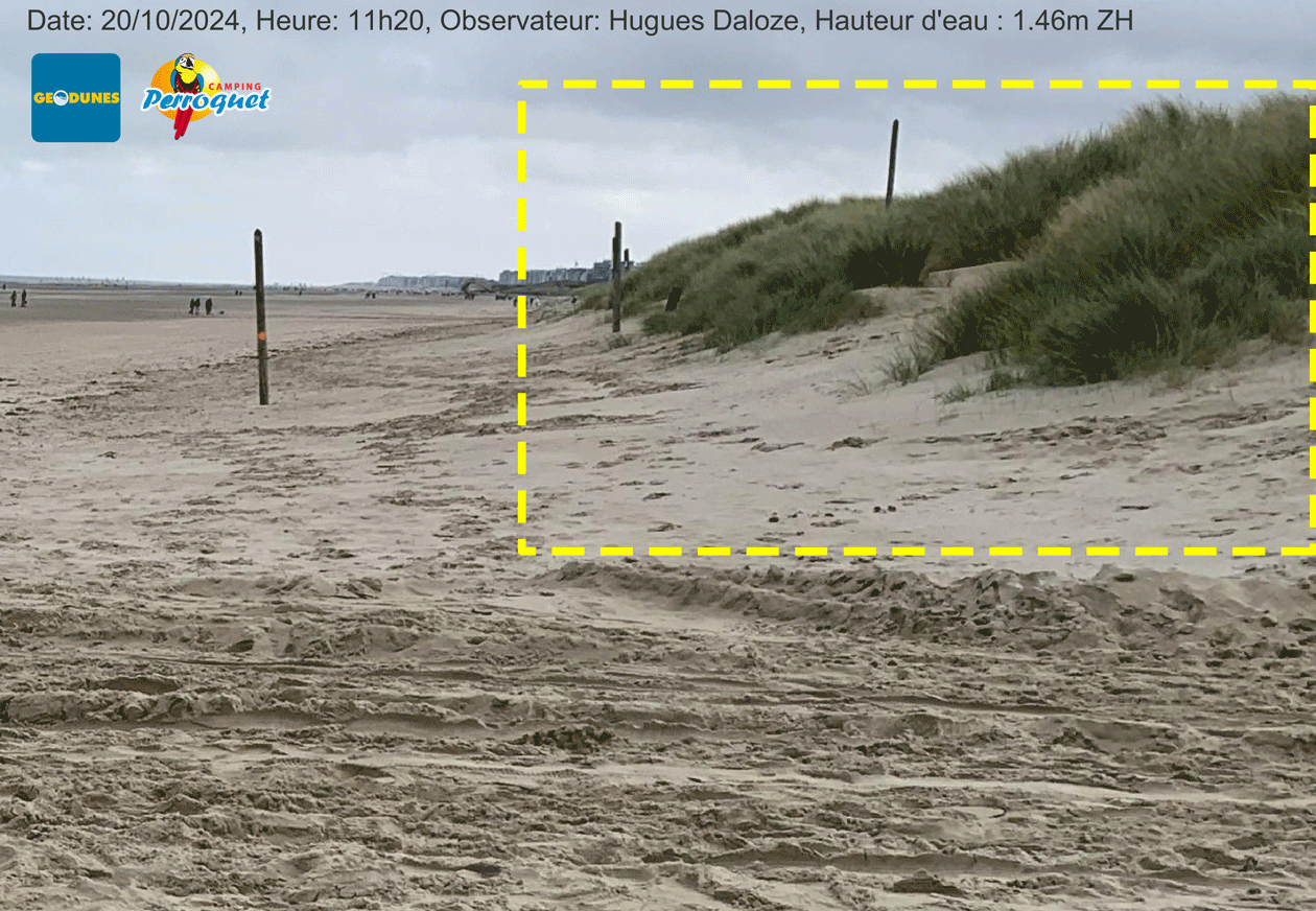 GIF per 20250520 VF