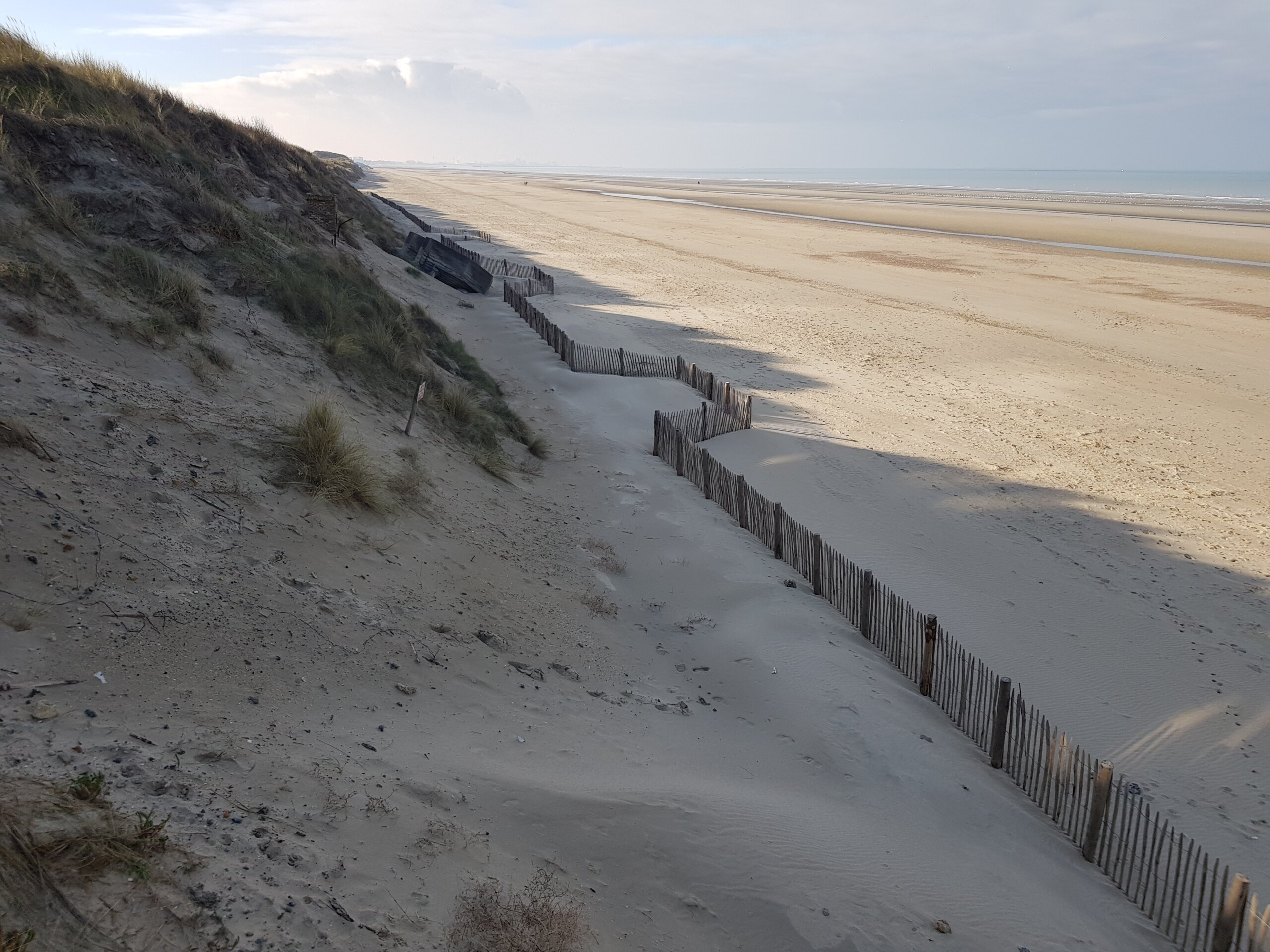CoastSnap 59 : trois ans pour suivre l’effet des ganivelles sur la dune Dewulf à Zuydcoote 3 zdc 20230128 1340 0 Charlotte Delannoye 227m scaled