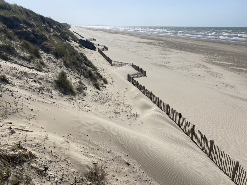 CoastSnap 59 : trois ans pour suivre l’effet des ganivelles sur la dune Dewulf à Zuydcoote 4 zdc 20230526 1658 0 Stan Castelein 446m
