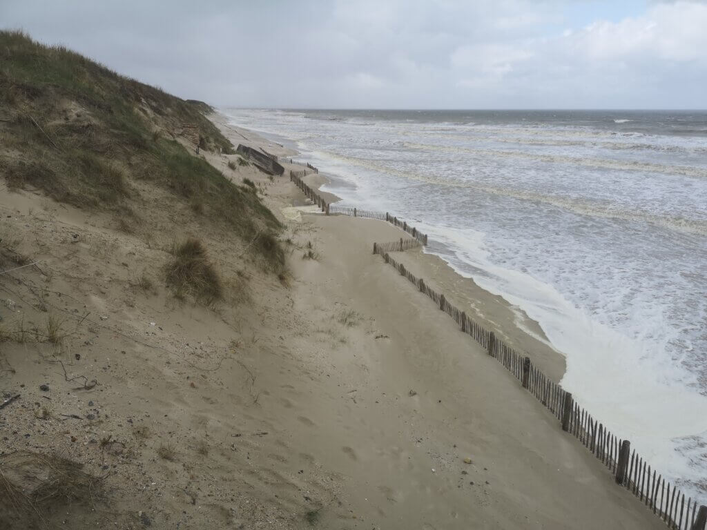 CoastSnap 59 : trois ans pour suivre l’effet des ganivelles sur la dune Dewulf à Zuydcoote 5 zdc 20240409 1415 442 Dominique Decorte 648m