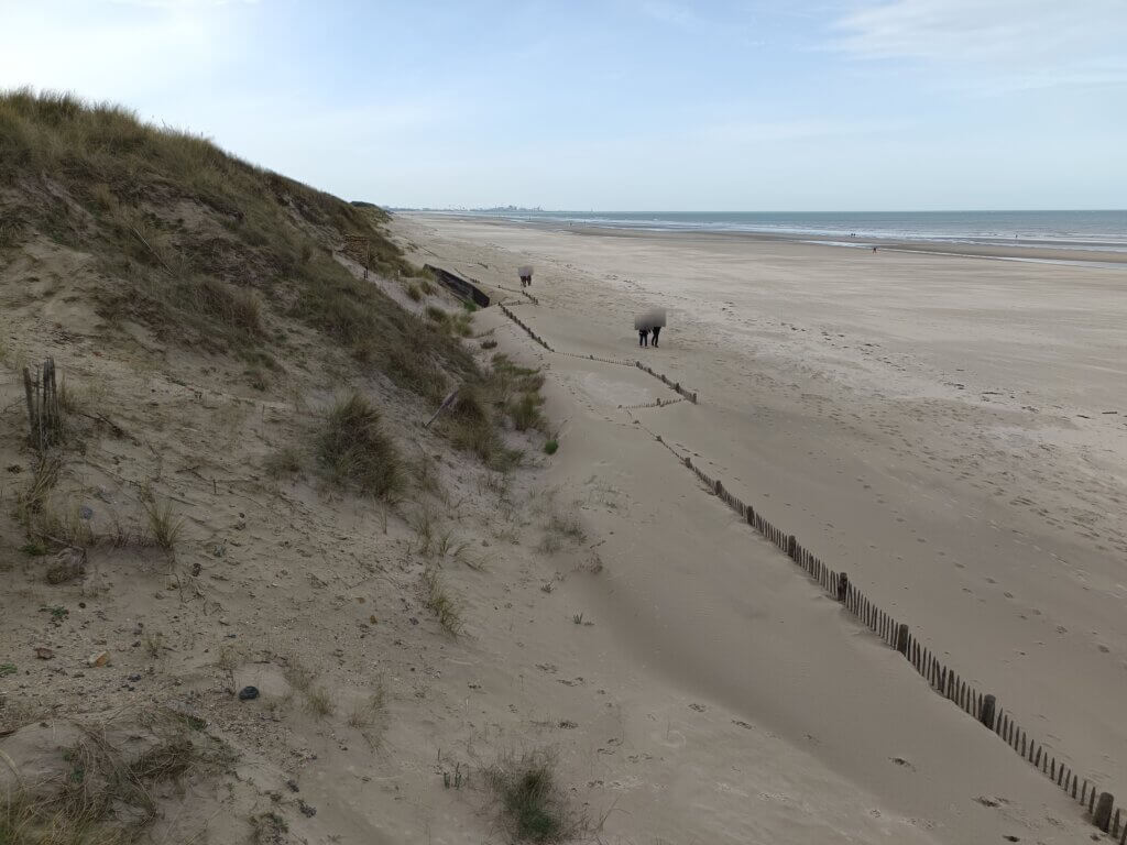 CoastSnap 59 : trois ans pour suivre l’effet des ganivelles sur la dune Dewulf à Zuydcoote 7 zdc 20241124 1233 874 Thierry Leblanc 229m
