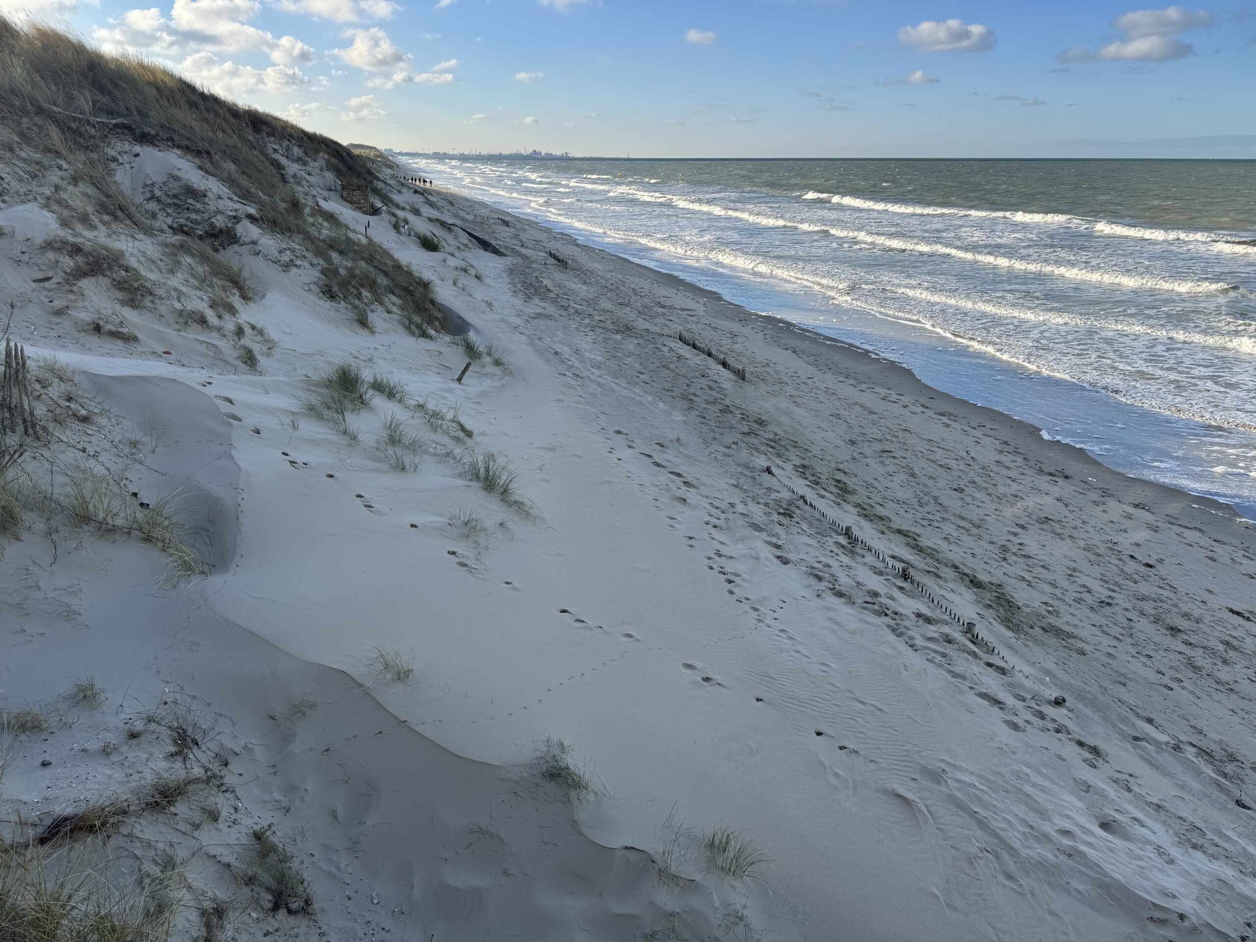 CoastSnap 59 : trois ans pour suivre l’effet des ganivelles sur la dune Dewulf à Zuydcoote 10 zdc 20260105 1359 2055 Batiste Corbin 627m scaled