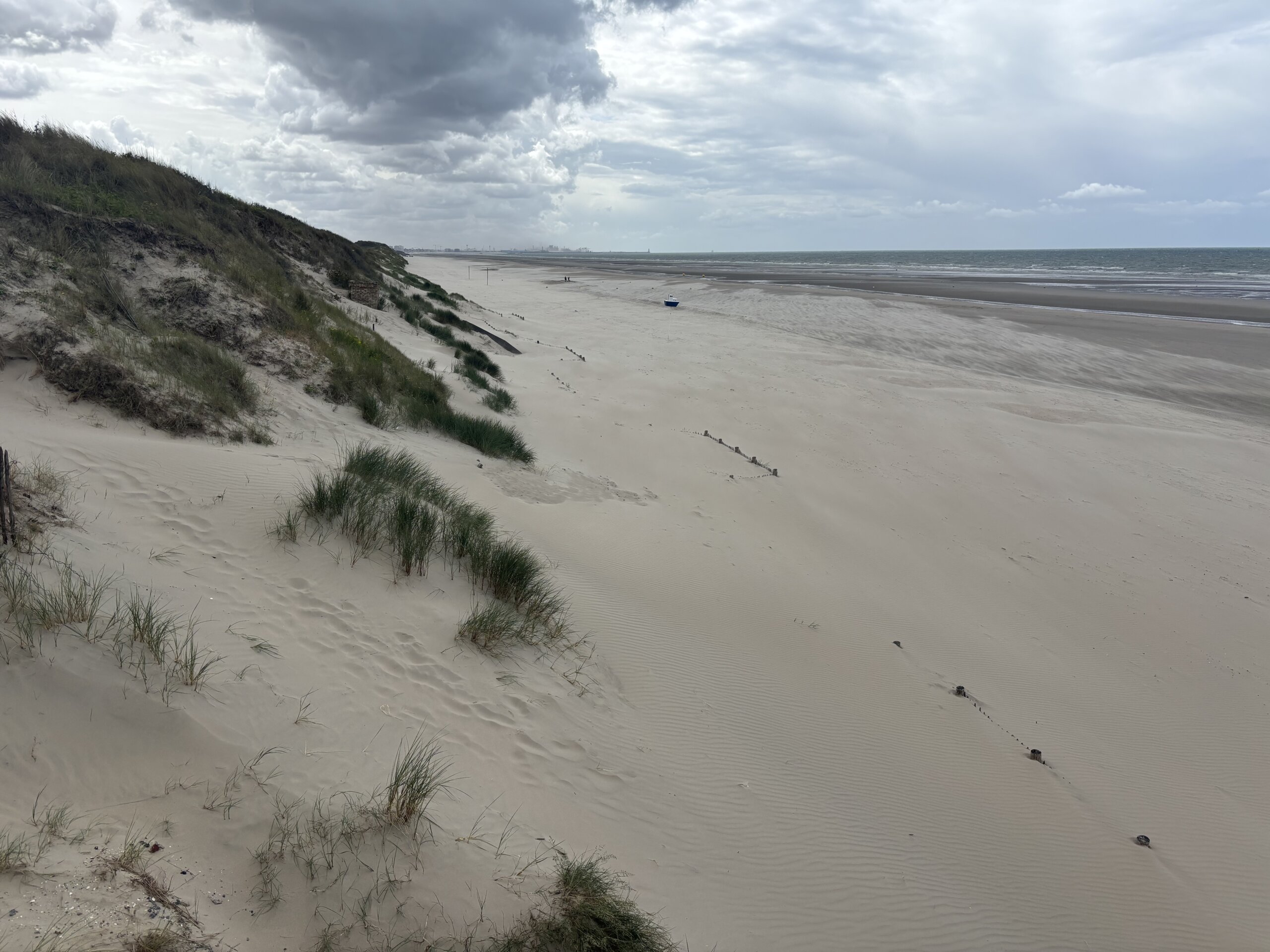 CoastSnap 59 : trois ans pour suivre l’effet des ganivelles sur la dune Dewulf à Zuydcoote 11 zdc 20260610 1547 3259 Isaiah Gehrz 167m scaled