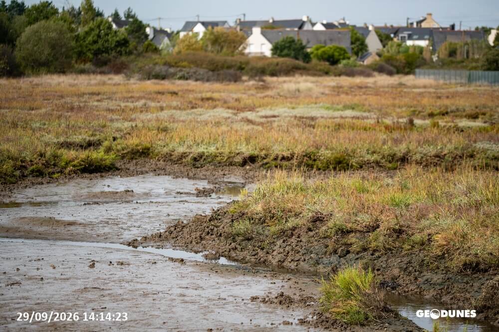 Renaturation du marais de Bilhic à Séné(56) : une campagne LiDAR et multispectrale pour le suivi des milieux littoraux 9 Geodunes 2026 09 29 20260929 10